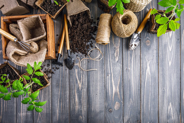 Garden tools with pot and soil seedlings tomato on wooden board