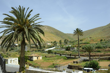 Fototapeta na wymiar Spain, Canary Island, Fuerteventura