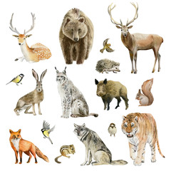 Clipboard set of watercolor hand drawn animal cliparts - 144970248