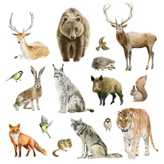 Clipboard set of watercolor hand drawn animal cliparts © olesyaturchuk