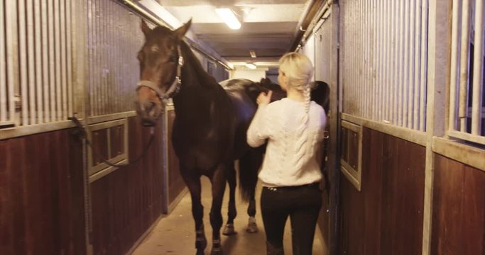 Woman putting on saddle on horse
