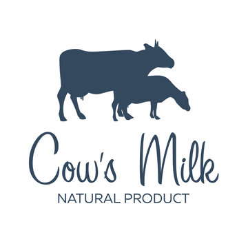 Cows milk. Natural product. Milk banner. Vector illustration.