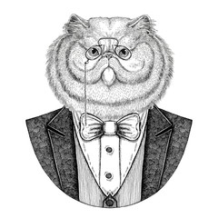 Portrait of fluffy persian cat Hipster animal Hand drawn illustration for tattoo, emblem, badge, logo, patch, t-shirt - obrazy, fototapety, plakaty