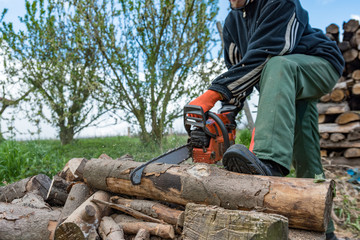 Brennholzsägen mit einer Motorsäge
