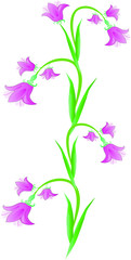 Fototapeta na wymiar Pattern green stem with purple flowers in the form of a pattern