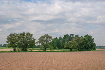 Fototapeta na wymiar terreni agricoli