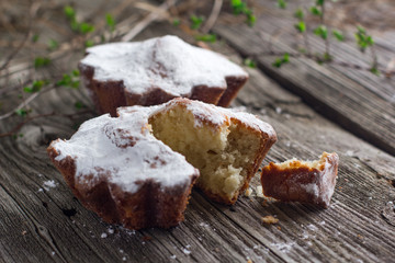 cottage cheese cupcakes