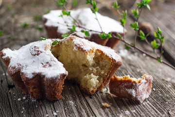cottage cheese cupcakes