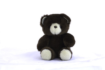 Brown teddy bear on white background.