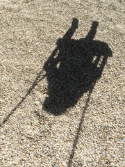 ombra di bambino in altalena