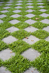 green floor in backyard