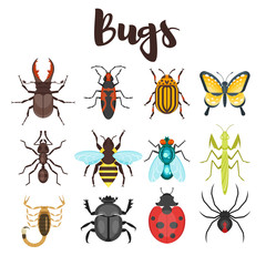 Vector flat style set of various colorful bugs. 