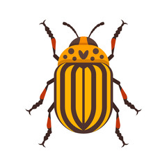 Vector flat style illustration of Colorado beetle.