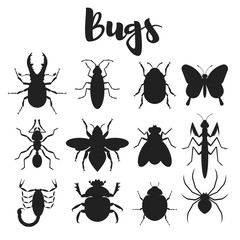 Vector monochrome set of various bugs.