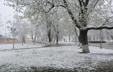 Spring snowfall