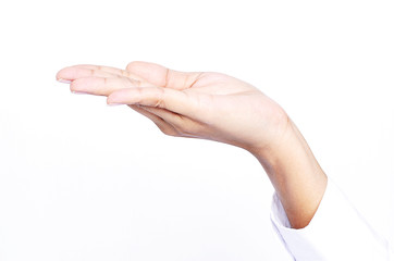 close up of hand invite palms on white background