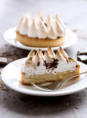 Slice of delicious tartlet with meringue on plate Copy space Vertical photo