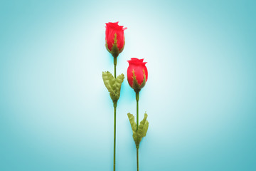 Artificial red roses on the lighten green background