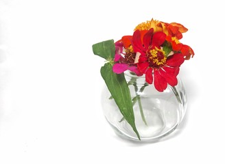 Colorful flowers in a jar isolated on white background