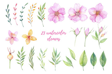 Watercolor illustrations. Pink flowers, ppring leaves and branches. Floral design elements. Perfect for wedding invitations, greeting cards, blogs, prints, logos and more