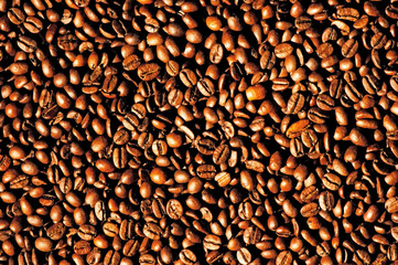 Background of coffee beans