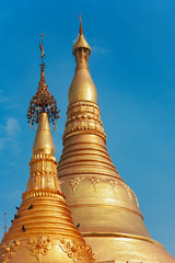 Fototapeta premium View of Myanmar temple spire. Popular place to visit at Yangon city tour - pagoda Shwedagon with Buddha scared relics. Famous travel destination in Asia. Traditional Burmese art and culture background
