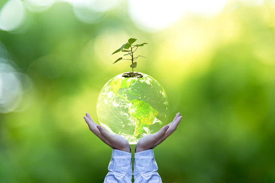 Planet and tree in human hands over green nature, Save the earth concept, Elements of this image furnished by NASA.