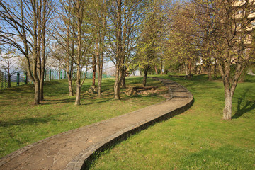 Winding path in the park between tje green lawns.
