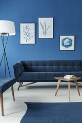 Trendy blue lounge