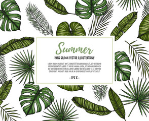 Fototapeta na wymiar Summer tropical background. Frame with palm leaves (monstera, areca palm, fan palm, banana leaves). Hand drawn vector illustration. Perfect for prints, posters, invitations, textile, packing etc