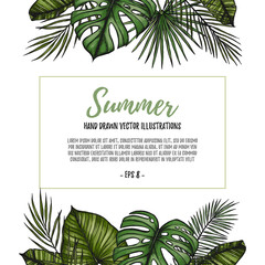 Summer tropical postcard template. Frame with palm leaves (areca palm, fan palm, banana leaves). Hand drawn vector illustration. Perfect for prints, posters, invitations, textile, packing etc