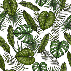 Tropical seamless pattern. Background with palm leaves (monstera, areca palm, fan palm, banana leaves). Hand drawn vector illustration. Perfect for prints, posters, invitations, textile, packing etc