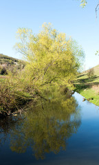 Fototapeta na wymiar Spring landscape with a river