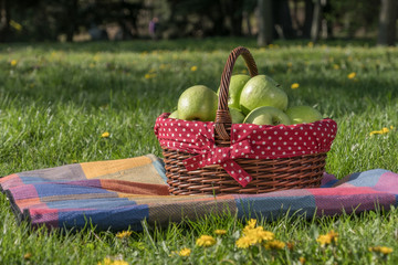 Green apples in a basket