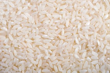 Rice seamless pattern food background
