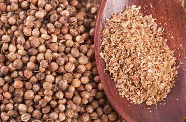 Cuisine spoon and dried coriander seeds 
