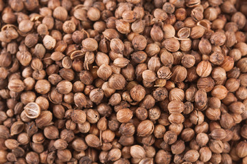 Cuisine accessories close-up