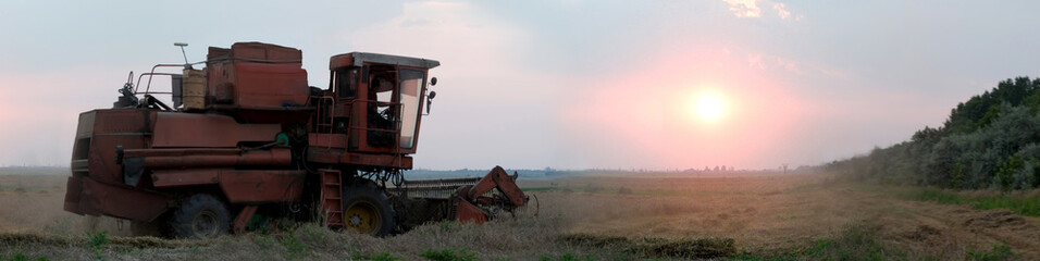 Harvesting cereals on the field in the summer evening 6