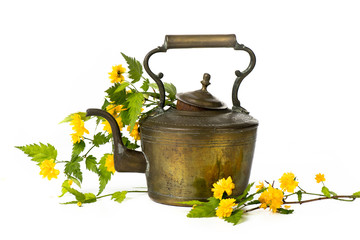 Old antique brass teapot on white background isolated with wild flowers