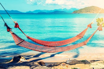 Tropical Palm Trees and Hammock