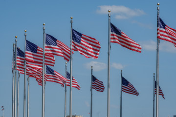 Group of American Flags