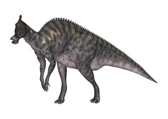 Plakat 3D Rendering Dinosaur Saurolophus on White