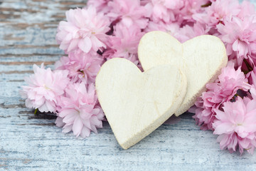 Naklejka na ściany i meble cherry flowers with white heart on wood