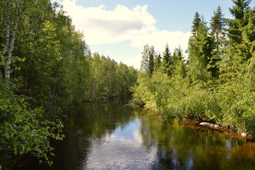 Obraz premium finland Summer lake