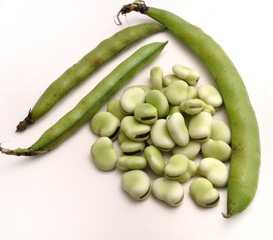 Poded broadbeans