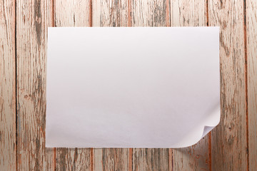 Blank sheet of paper