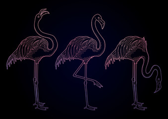 Obraz premium Cute graphic flamingo