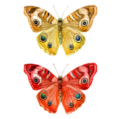 Watercolor illustration, set, image of colored transparent butterflies.