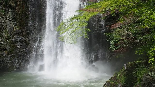 大阪府営箕面公園 箕面の滝