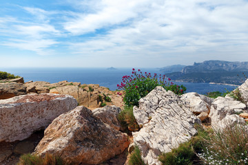 cap Canaille et falaises de Cassis